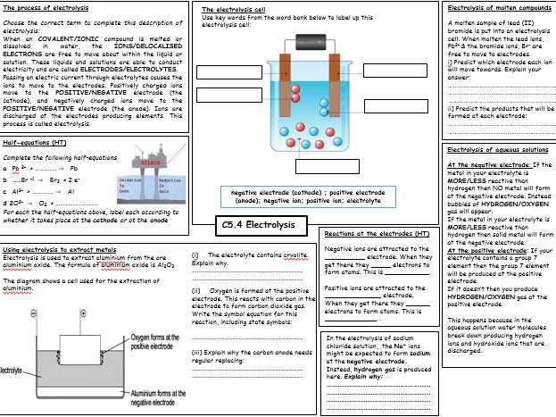 Electrologist school picture
