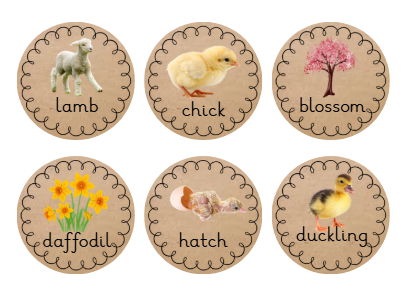 Spring Vocabulary Discs