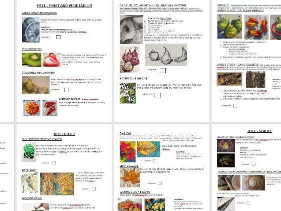 Natural forms coursework workbook