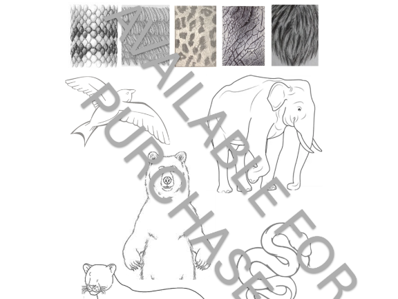 Imply Texture in animals
