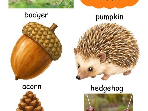 Autumn Indoor Nature Hunt