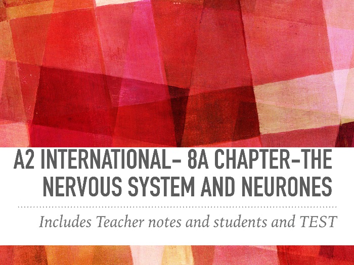A2 international 8A chapter-The nervous system and neurones - full pack