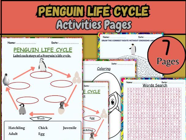 Penguin Life Cycle – Labeling, Coloring, and Word Search Activity