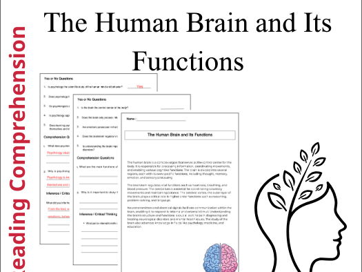 Enhance your students’ understanding of the human brain with this engaging and educational reading