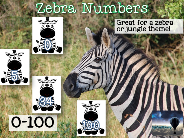 Numbers 0-100 on Zebras for Display