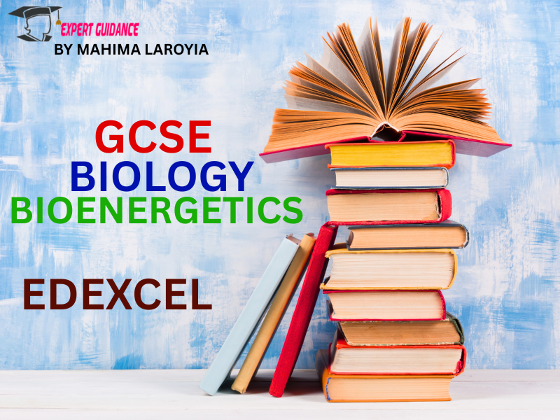 EDEXCEL - GCSE BIOLOGY BIOENERGETICS