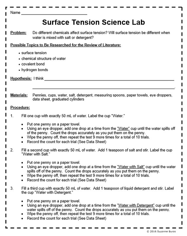 Surface Tension Lab A "Mini" Science Fair Project Teaching Resources