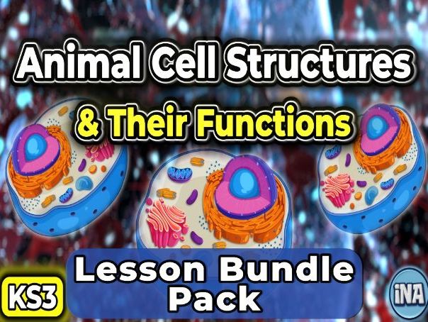 Animal Cell Structures and Their Functions - Complete KS3 Biology Lesson Pack