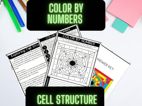 Colour By Numbers Cell Structures
