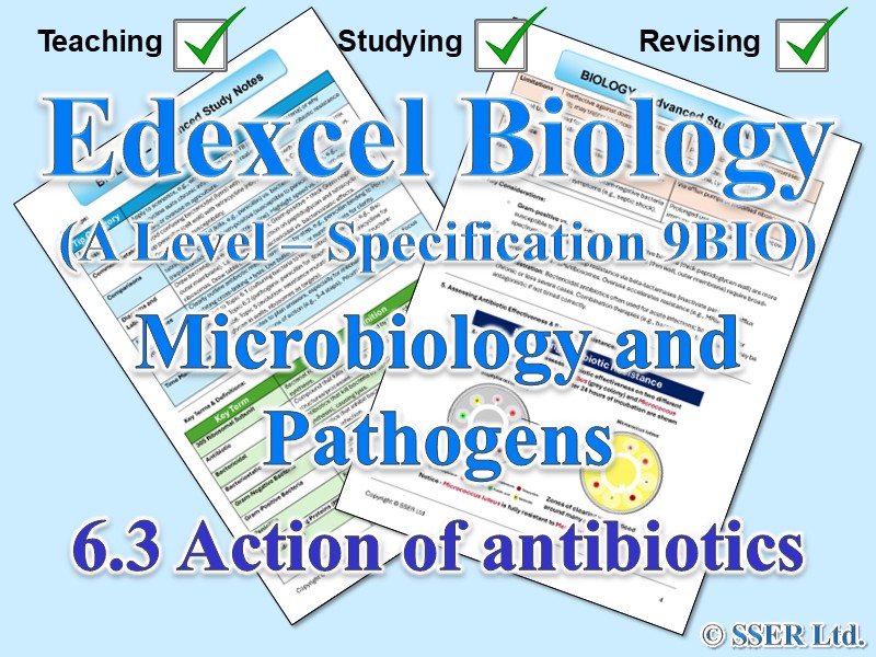 BIOA_EDX Topic Notes: 6.3 Action of antibiotics