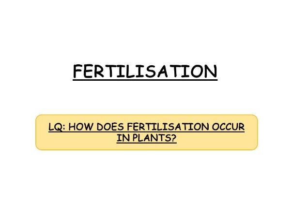 **iGCSE Biology Edexcel - FERTILISATION & FRUIT FORMATION**