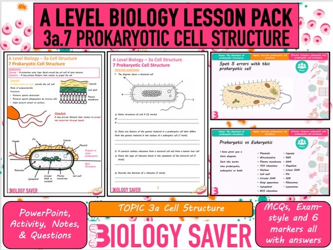 A Level Bio Lesson - 3a.7 Prokaryotic Cell Structure