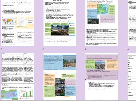AQA GCSE Geography Urban issues and RIO case study revision booklet with questions