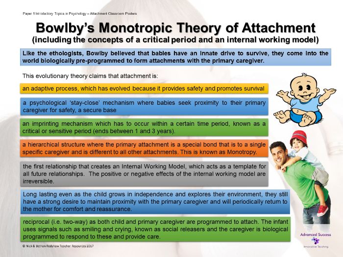 Bowlby Stages Of Attachment Olympiapublishers