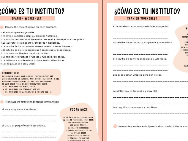 School Spanish Worksheet KS3/KS4