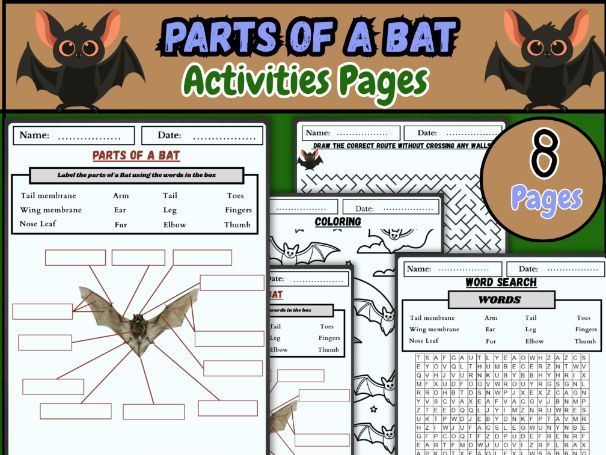 Parts of a Bat – Bat Worksheets