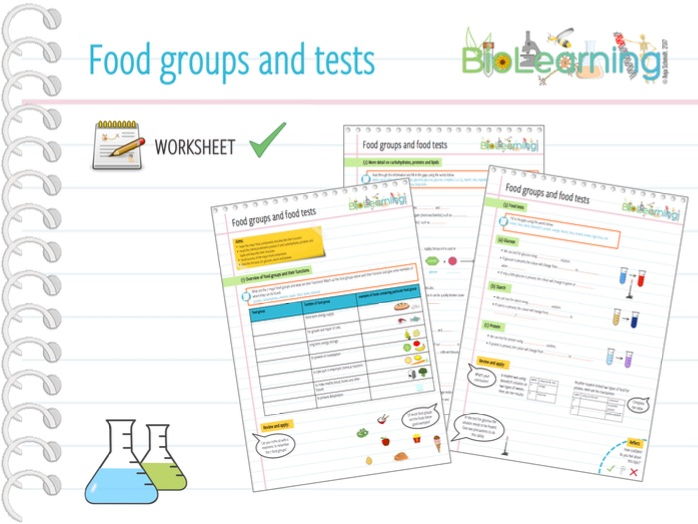 Food Groups and Tests Worksheet (KS3/KS4) Teaching Resources