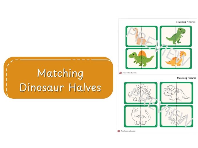 Matching Dinosaur Pictures