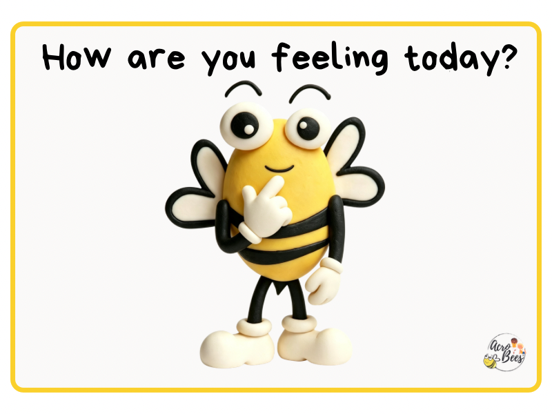 Character Emotion Cards/Printable Bee Feelings Flashcards for SEN & Key Stage 1 & Early Years