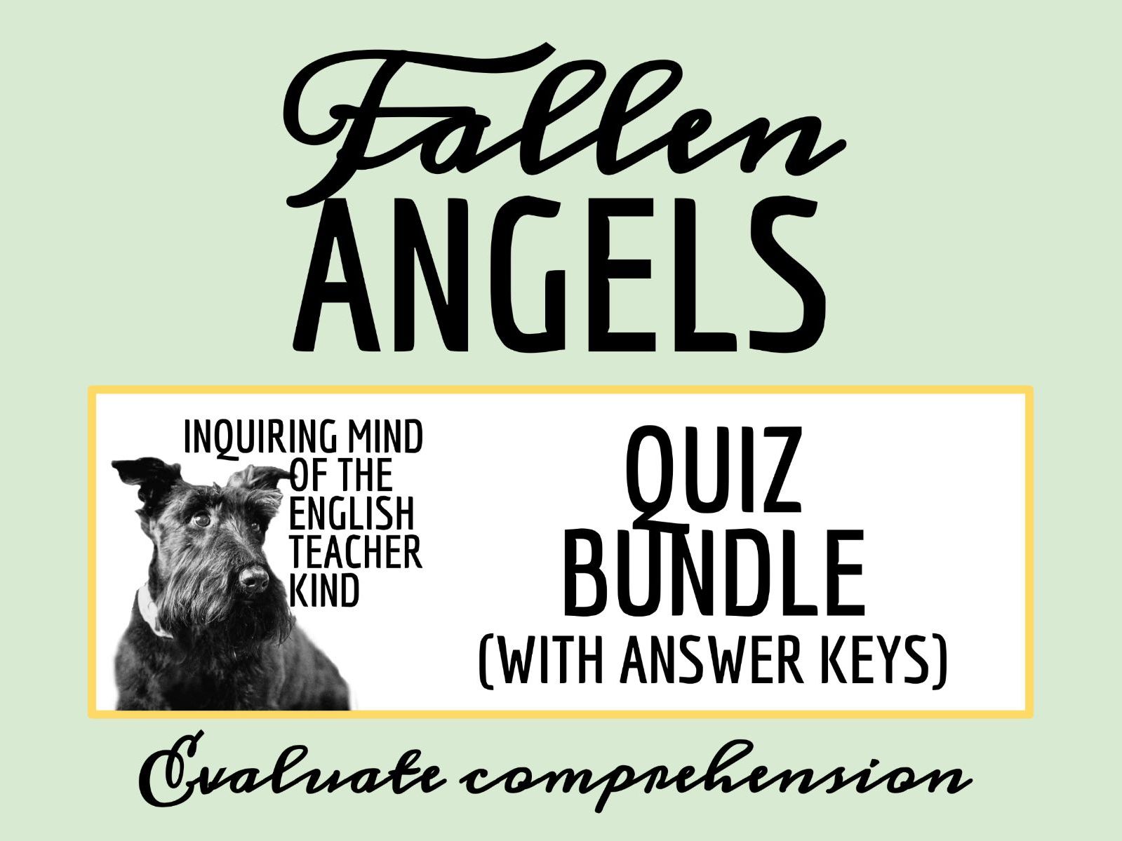 Fallen Angels by Walter Dean Myers Quiz and Answer Key Bundle