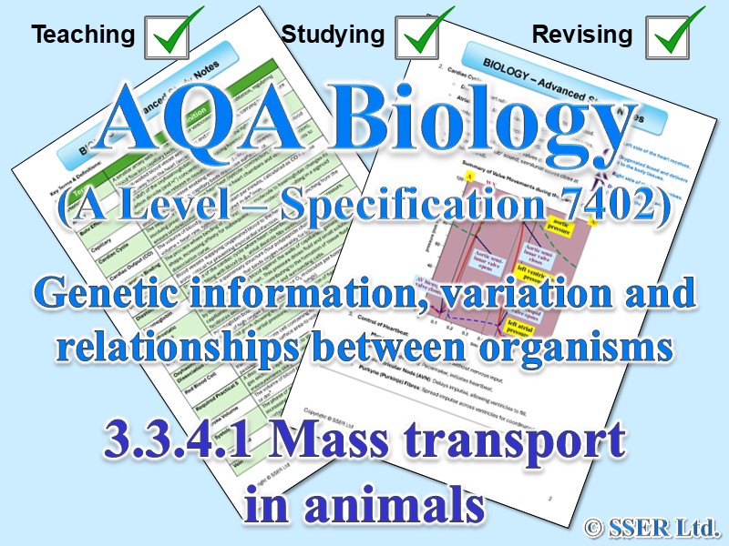 BIOA_AQA Topic Notes: 3.3.4.1 Mass transport in animals