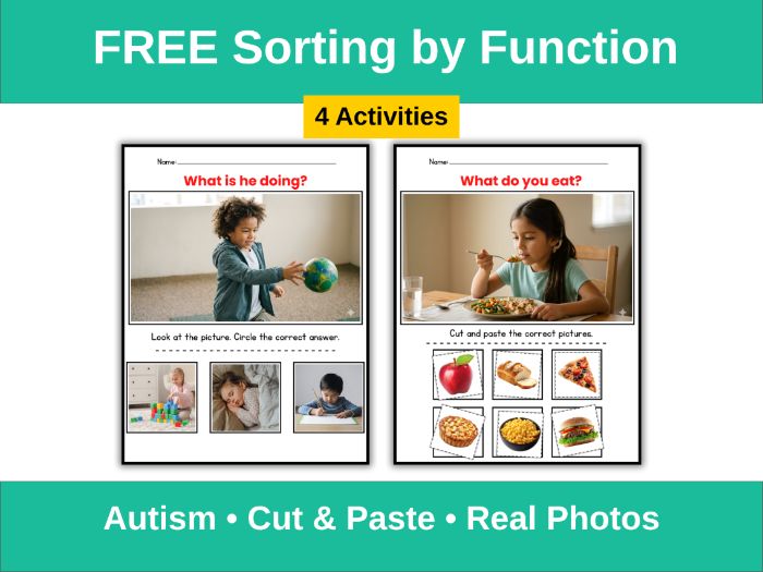 Free Sorting by Function (Autism)