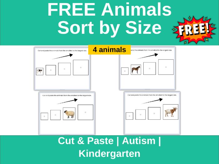 Animals Sort by Size Worksheets – Autism