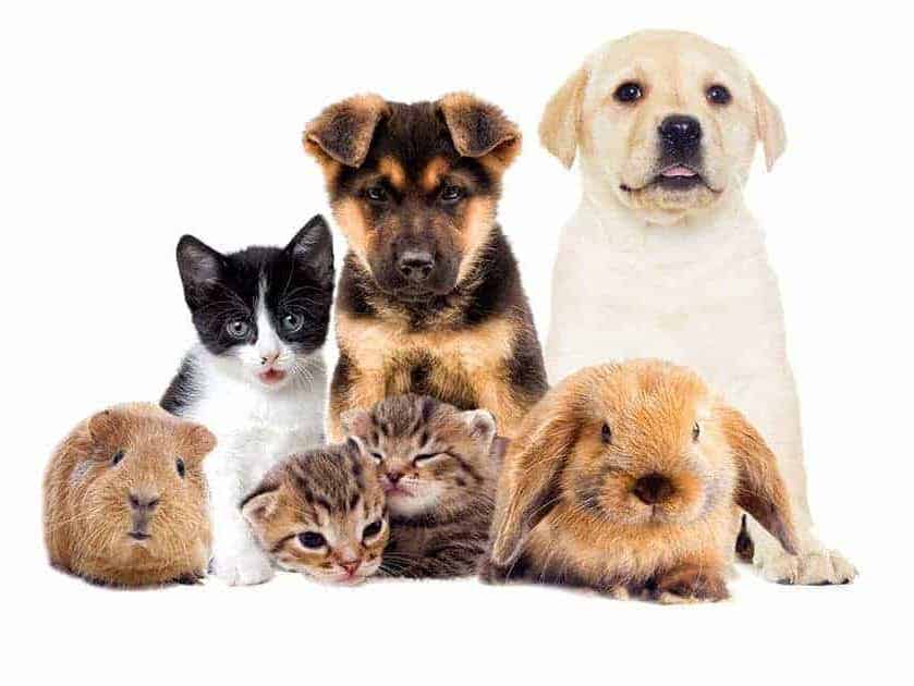 AQA - Entry Level English - Component 1