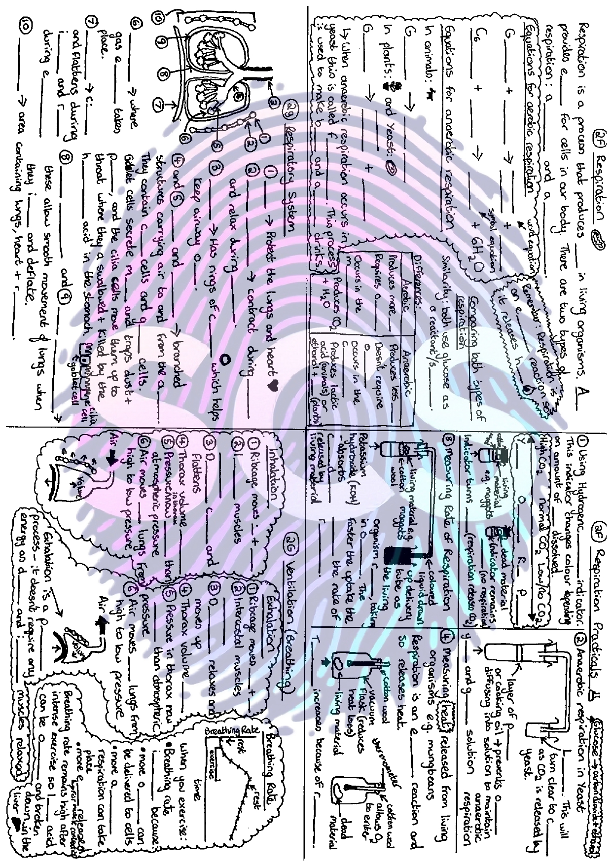 pdf, 67.01 KB