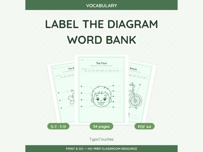 Label the Diagram Word Bank | 34 pp