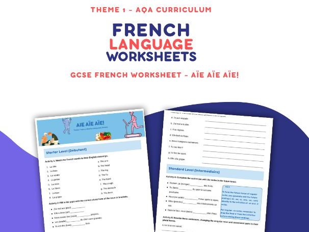 Aïe aïe aïe! - GCSE Worksheet AQA Theme 1