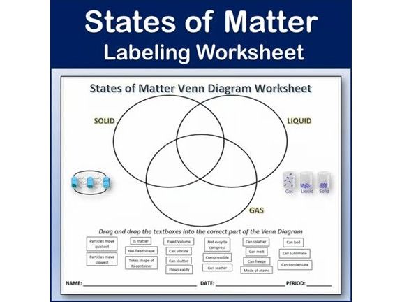 States of Matter Venn Diagram Worksheet - Science | Chemistry