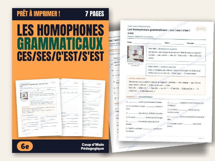 French Homophones ces ses c'est s'est Worksheet Grade 6 | ces/ses/c'est/s'est