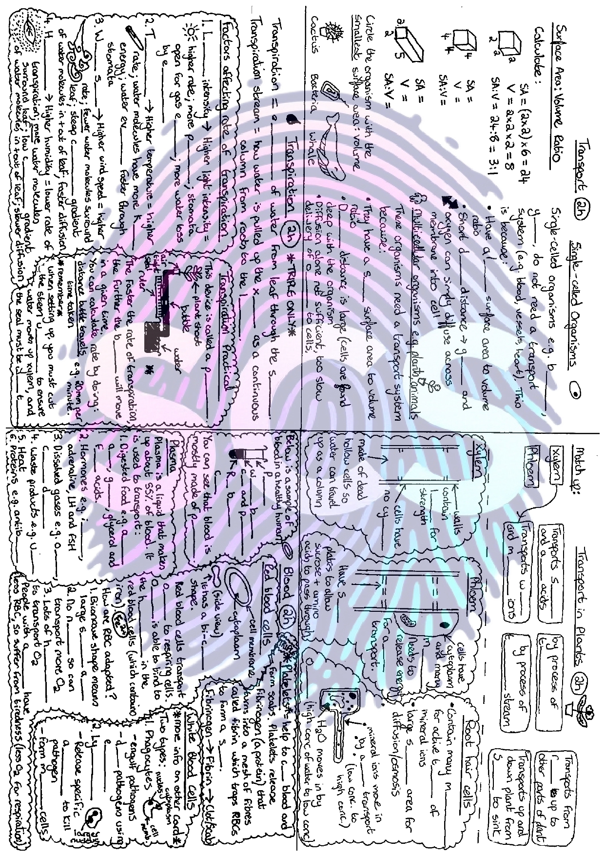 pdf, 130.35 KB