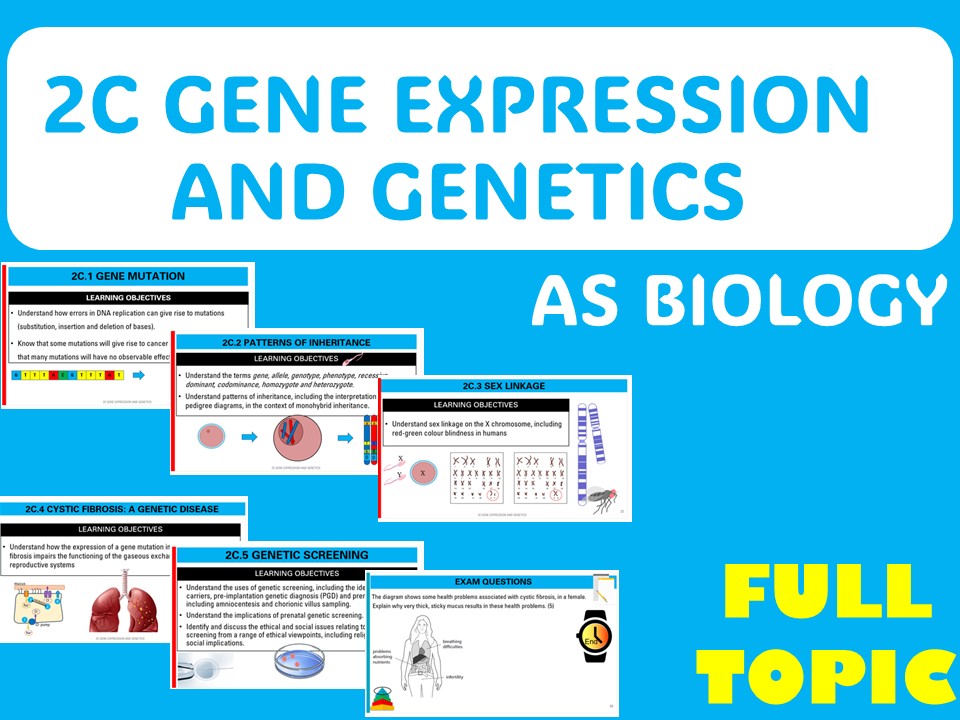 Gene Expression & Genetics AS FULL TOPIC