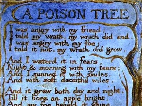 A Poison Tree by William Blake-Analysis Work Pack