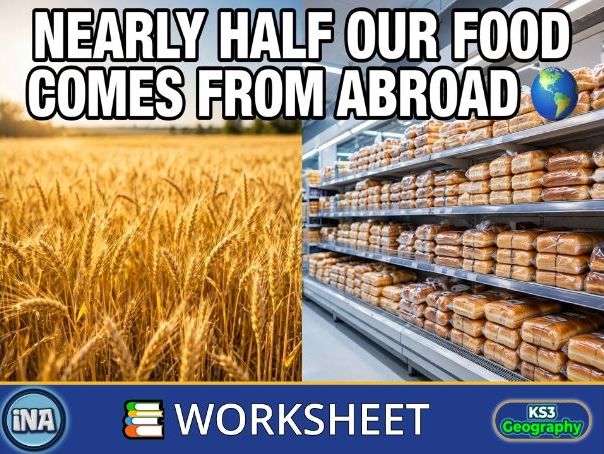 Food Production and Supply Chains - KS3 Geography Worksheet