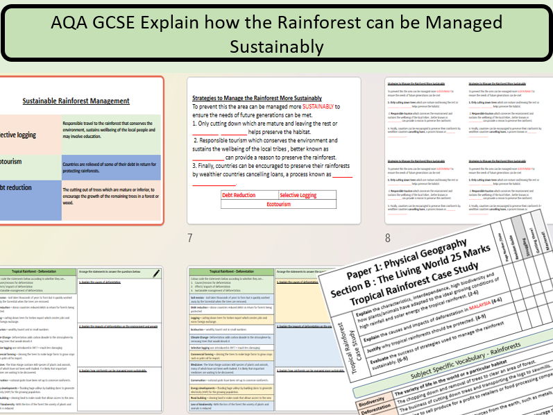 GCSE AQA 9-1: The Sustainable Management of the Malaysian Rainforest.