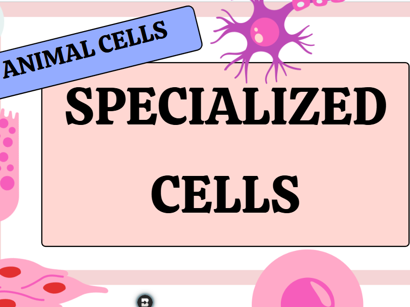 Cell Specialisation