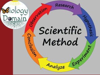 Scientific Method Bellringers Warm Ups with Answer Key