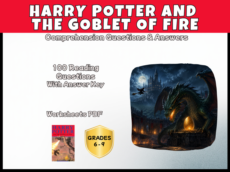 Harry Potter Goblet of Fire Reading Comprehension | KS3 Novel Study | Years 7-10 PDF
