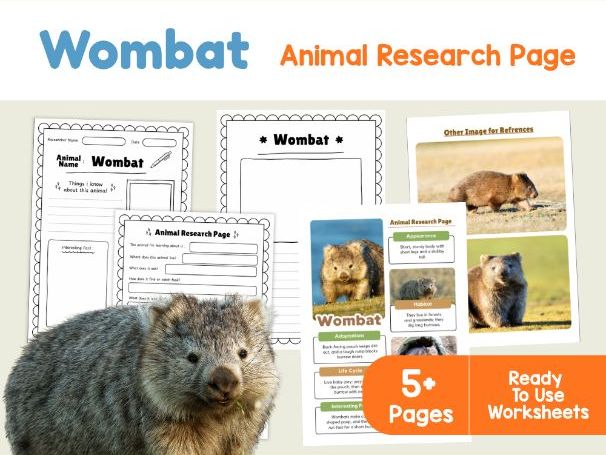 Wombat Animal Research Page | Australian Animals KS2 Worksheets
