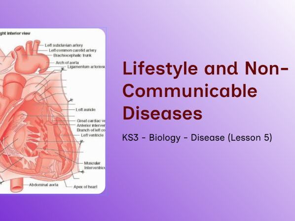 KS3 - Disease Unit - Lesson 5 – Lifestyle Factors & Non‑Communicable Diseases
