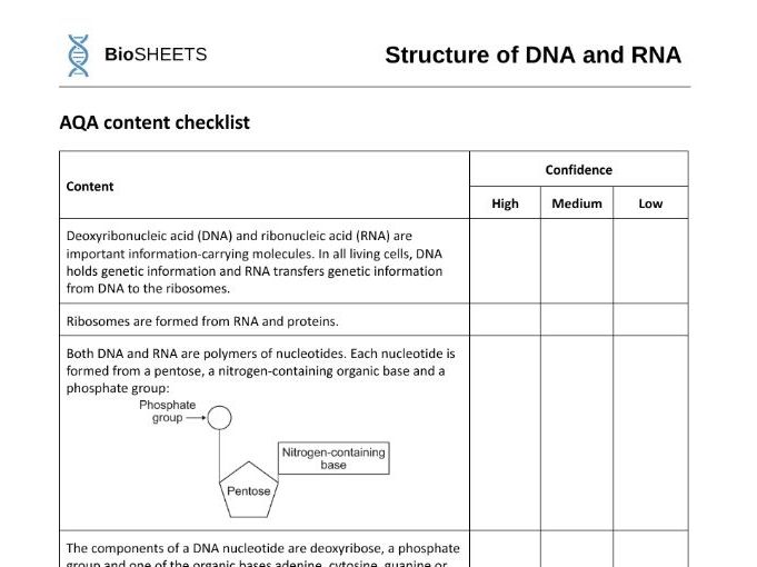 AQA A-Level Biology: 1.5 DNA, RNA and replication – BioSHEETS Complete Study & Practice Pack