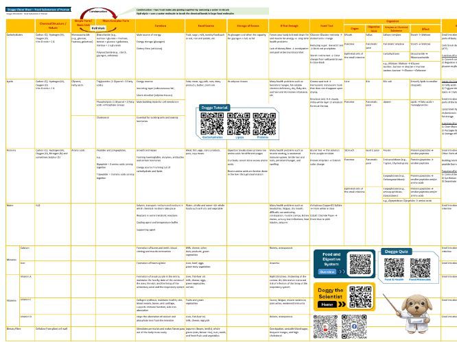 Cheatsheet/Quiz: Food & Health of Human