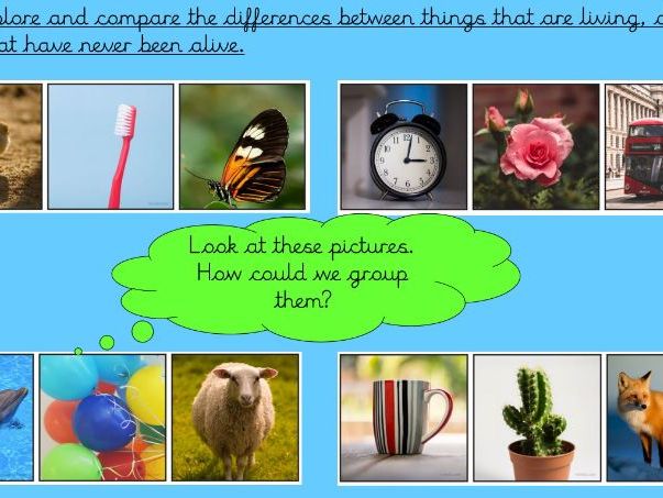 KS1 Science Living and Dead