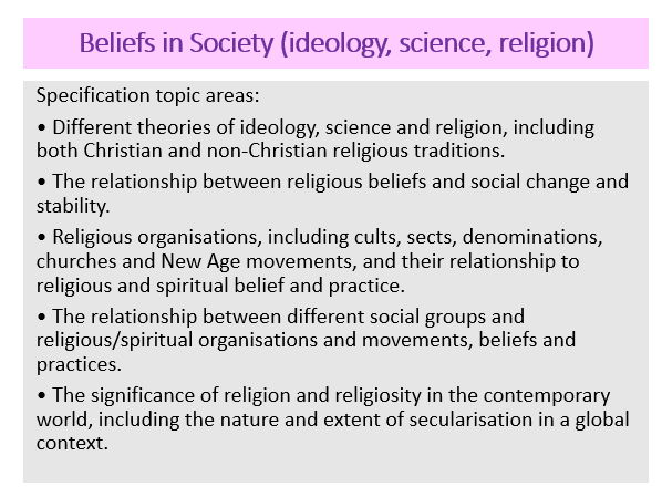 Beliefs in Society