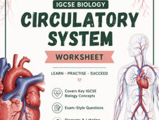 Edexcel IGCSE Biology Circulatory Sytem