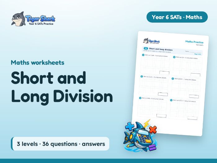 Short and Long Division Worksheets: Year 6