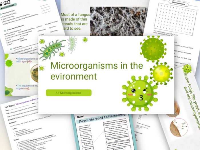Microorganisms – Complete Lesson Pack (KS3), Slide, Matching  and Word research activity, Pop quiz.